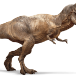 dinosaurio jurassic world park 17