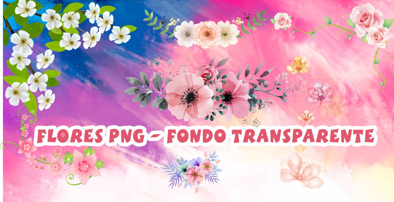 Flores PNG Fondo Transparente - Mega Idea