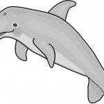Delfines 3
