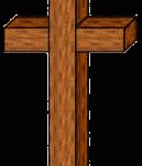 cruz 15