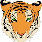 tigre4
