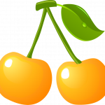 fruta 6