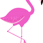 flamingo06