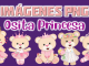 imagenes png Osita Princesa
