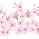 flores japonesas