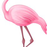 Flamingo13