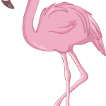 Flamingo14