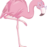 Flamingo16