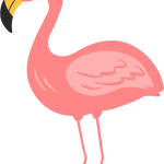 Flamingo19