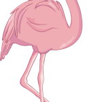 Flamingo9