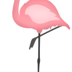 Flamingos 1