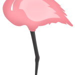 Flamingos 3