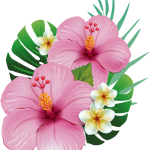 Flores Hawaianas