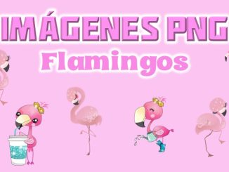 Imagenes png de Flamingos