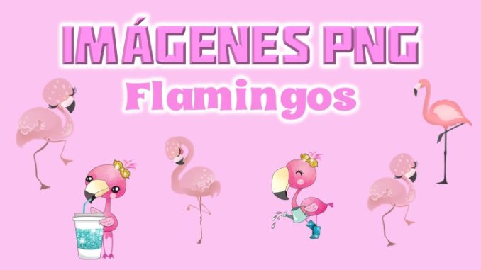 Imagenes png de Flamingos