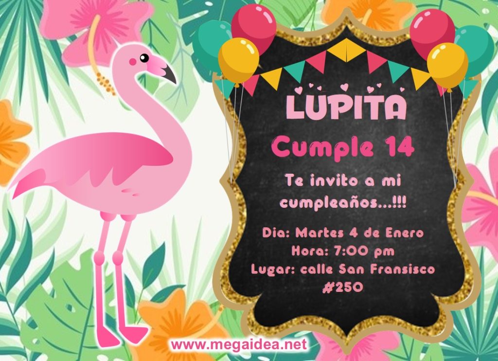 invitacion Flamingos